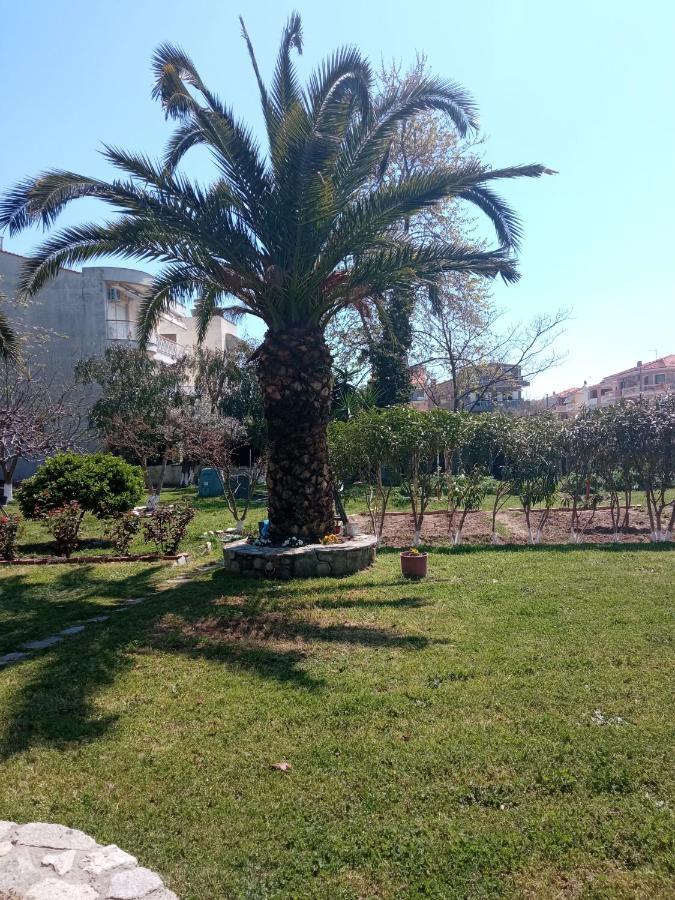 Sofia'S Garden Lägenhet Néa Péramos Exteriör bild