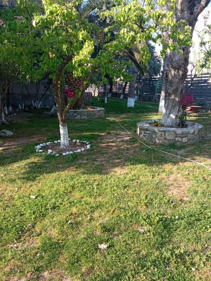 Sofia'S Garden Lägenhet Néa Péramos Exteriör bild