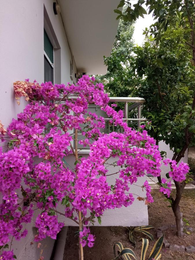 Sofia'S Garden Lägenhet Néa Péramos Exteriör bild