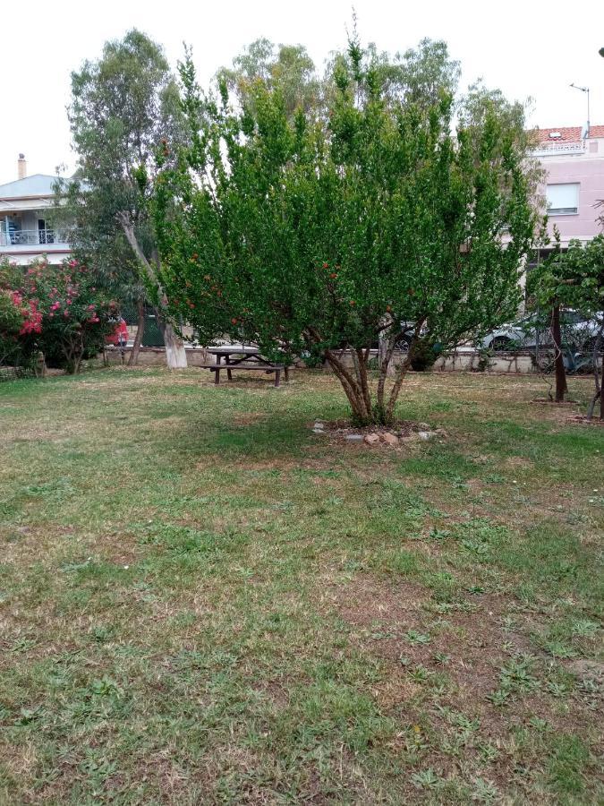 Sofia'S Garden Lägenhet Néa Péramos Exteriör bild